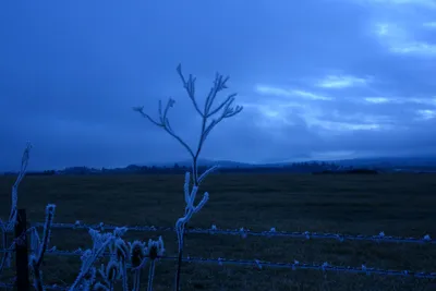 DSC_1093 (Large).JPG